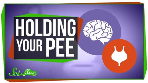 What position should you hold your pee?