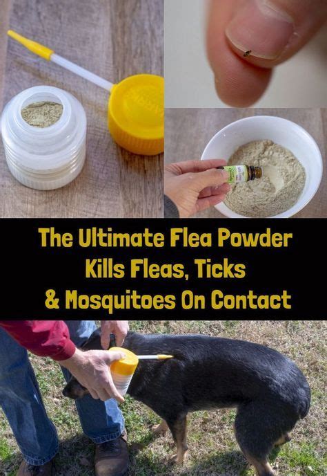 What powder kills fleas?