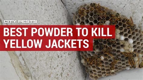 What powder kills yellow jackets?