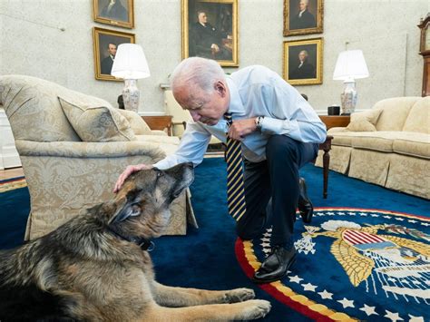 What president had the most pets?