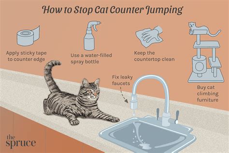 What product keeps cats off counters?