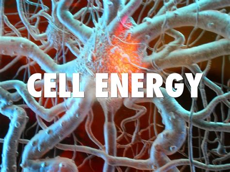 What provides energy of the cell?