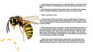 What provokes a wasp?
