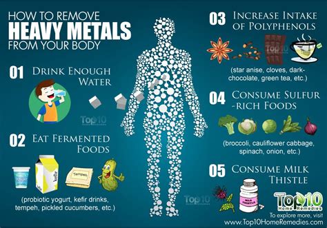 What pulls heavy metals out of the body?