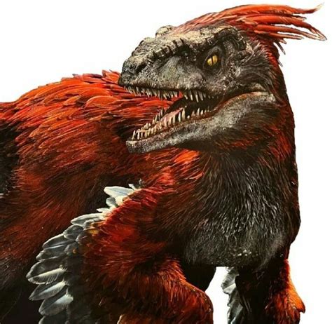 What raptor has a red head?