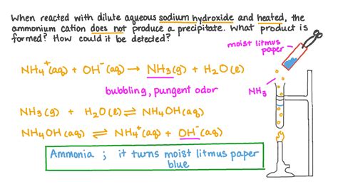 What reacts with ammonia?
