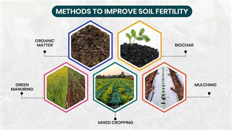 What reduces soil fertility?