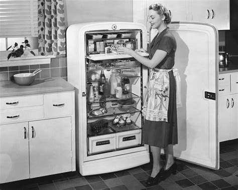 What refrigerator has the longest life?