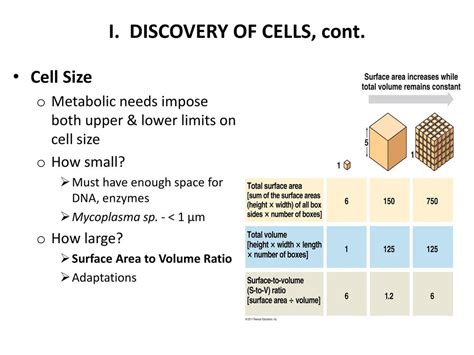 What requirements of a cell impose a minimum limit on cell size?