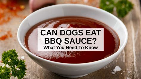 What sauce is OK for dogs?