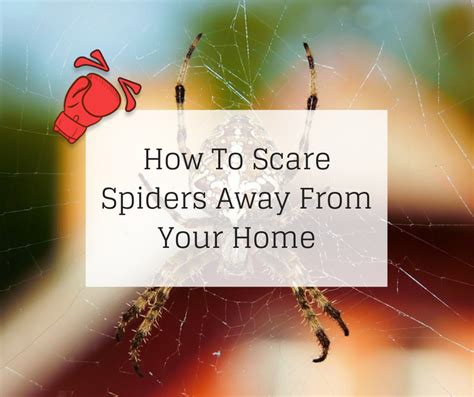 What scares spiders away?