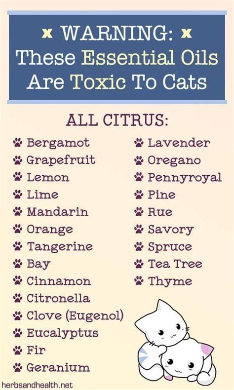 What scent is toxic to cats?