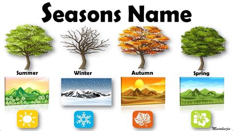 What season is now?