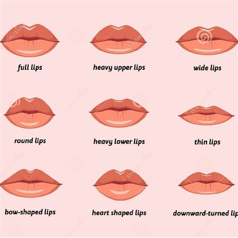 What shape of lips is prettiest?