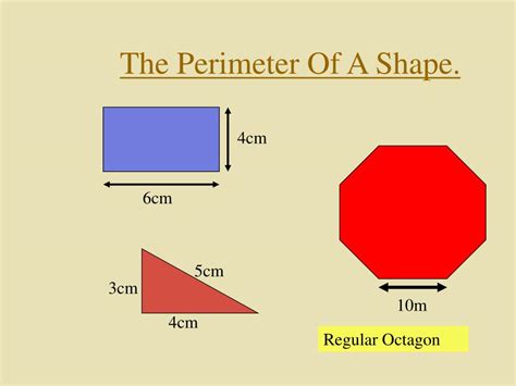What shapes have a perimeter of 12 cm?