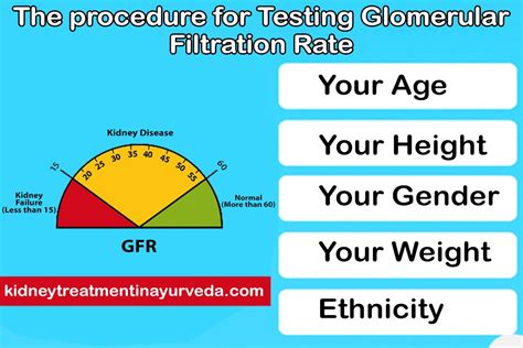 What should I eat if my GFR is low?