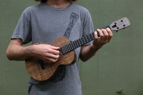 What should I learn after ukulele?