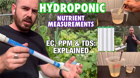 What should I monitor in hydroponics?
