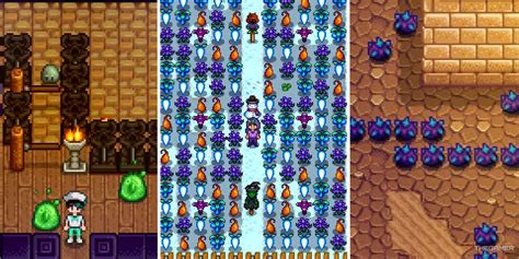 What should I not sell in Stardew?