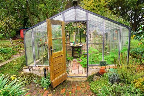 What should I put inside my greenhouse?