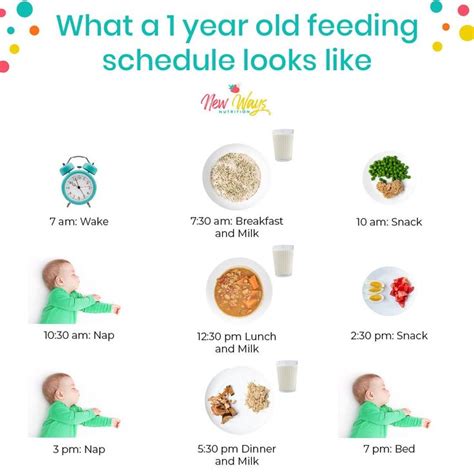 What should a 1 year old eat in a day?