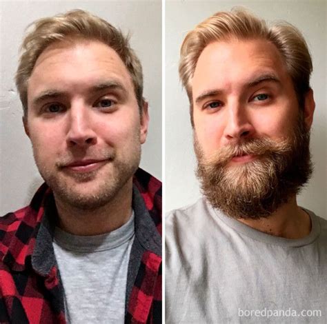 What should a 2 week beard look like?