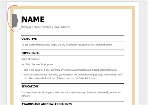 What should be bold on resume?