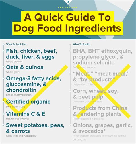 What should be the main ingredients in dog food?