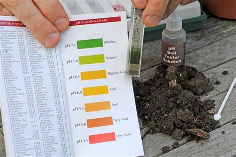 What should the pH of soil be for strawberries?