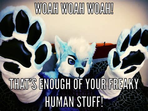 What should you never ask a furry?