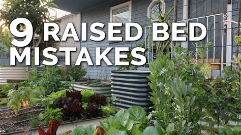 What should you not put in a raised garden bed?
