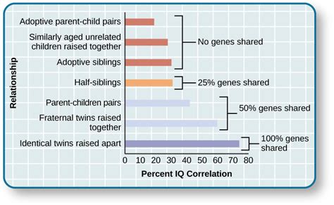 What sibling has the highest IQ?