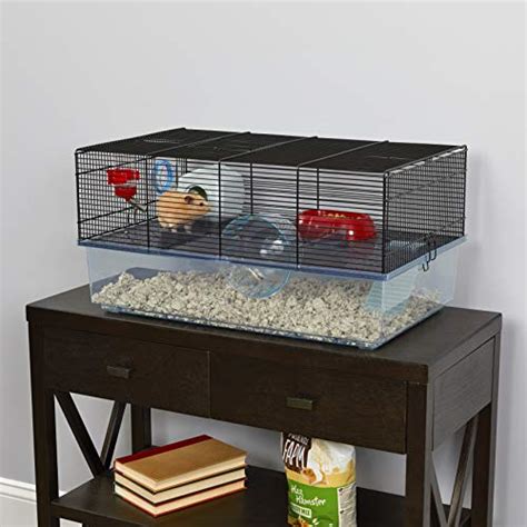 What size cage does a Russian hamster need?