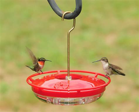 What size hummingbird feeder is best?