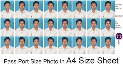 What size is a passport photo A4?