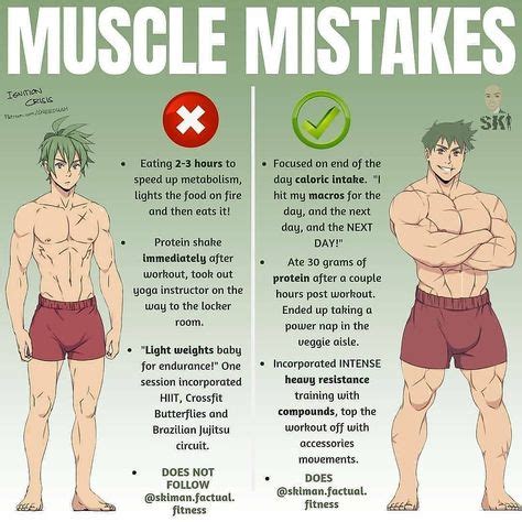 What slows down muscle growth?