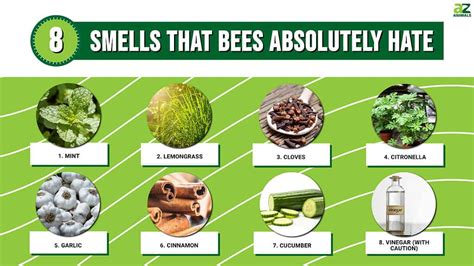 What smell bothers bees?