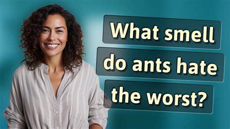 What smell do ants hate the worst?