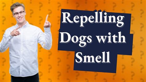 What smell do dogs hate to poop on in the house?