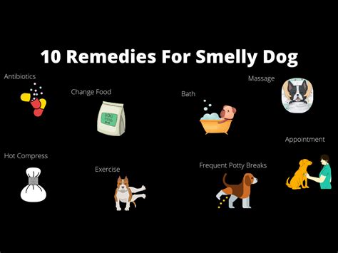What smell is irresistible to dogs?