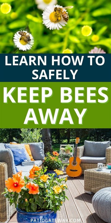 What smell keeps bees away?