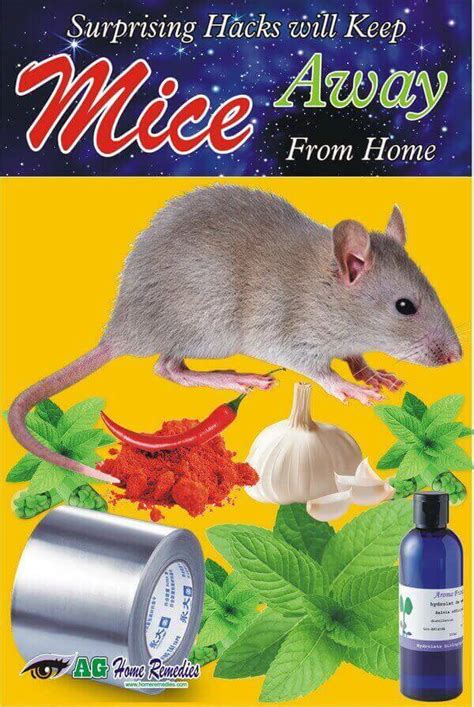 What smell scares mice away?
