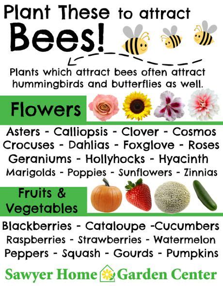 What smells are bees attracted to?
