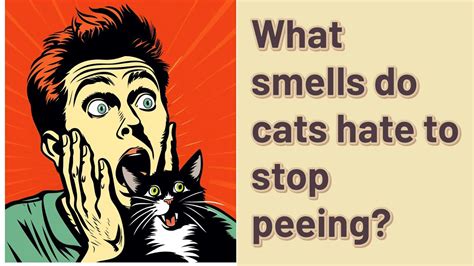 What smells do cats hate to stop peeing?