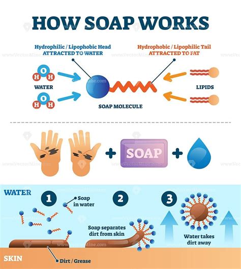 What soap removes bacteria?