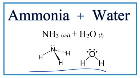 What solvent dissolves ammonia?
