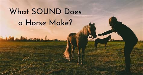 What sound does a horse make when it's annoyed?