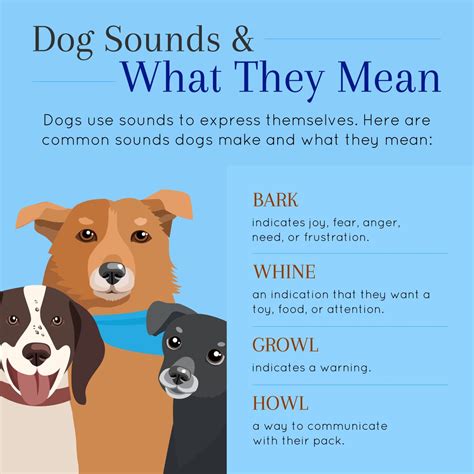 What sounds annoy dogs?
