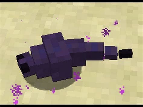 What species is the endermite?