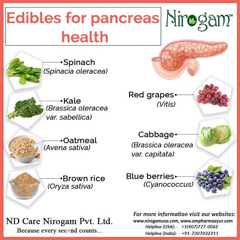 What spices help pancreas?